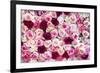 China 10MKm2 Collection - 1001 Roses-Philippe Hugonnard-Framed Photographic Print