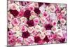 China 10MKm2 Collection - 1001 Roses-Philippe Hugonnard-Mounted Photographic Print