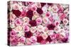 China 10MKm2 Collection - 1001 Roses-Philippe Hugonnard-Stretched Canvas