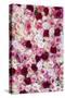 China 10MKm2 Collection - 1001 Roses-Philippe Hugonnard-Stretched Canvas