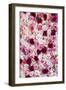 China 10MKm2 Collection - 1001 Roses-Philippe Hugonnard-Framed Photographic Print