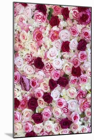 China 10MKm2 Collection - 1001 Roses-Philippe Hugonnard-Mounted Photographic Print