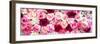 China 10MKm2 Collection - 1001 Roses-Philippe Hugonnard-Framed Photographic Print