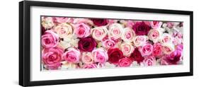 China 10MKm2 Collection - 1001 Roses-Philippe Hugonnard-Framed Photographic Print