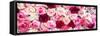 China 10MKm2 Collection - 1001 Roses-Philippe Hugonnard-Framed Stretched Canvas