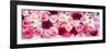 China 10MKm2 Collection - 1001 Roses-Philippe Hugonnard-Framed Photographic Print