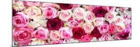 China 10MKm2 Collection - 1001 Roses-Philippe Hugonnard-Mounted Photographic Print