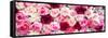 China 10MKm2 Collection - 1001 Roses-Philippe Hugonnard-Framed Stretched Canvas