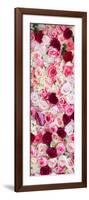 China 10MKm2 Collection - 1001 Roses-Philippe Hugonnard-Framed Photographic Print