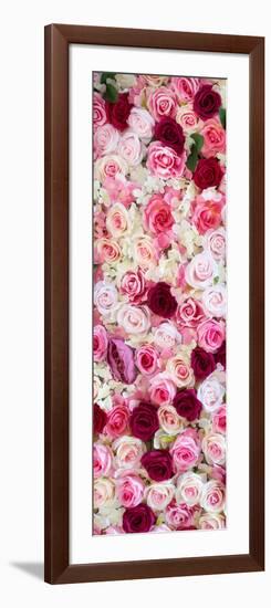 China 10MKm2 Collection - 1001 Roses-Philippe Hugonnard-Framed Photographic Print