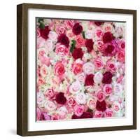 China 10MKm2 Collection - 1001 Roses-Philippe Hugonnard-Framed Photographic Print