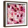 China 10MKm2 Collection - 1001 Roses-Philippe Hugonnard-Framed Photographic Print