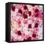 China 10MKm2 Collection - 1001 Roses-Philippe Hugonnard-Framed Stretched Canvas