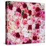 China 10MKm2 Collection - 1001 Roses-Philippe Hugonnard-Stretched Canvas