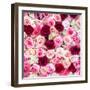 China 10MKm2 Collection - 1001 Roses-Philippe Hugonnard-Framed Photographic Print