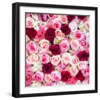 China 10MKm2 Collection - 1001 Roses-Philippe Hugonnard-Framed Photographic Print