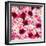 China 10MKm2 Collection - 1001 Roses-Philippe Hugonnard-Framed Photographic Print