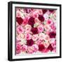 China 10MKm2 Collection - 1001 Roses-Philippe Hugonnard-Framed Photographic Print