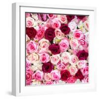 China 10MKm2 Collection - 1001 Roses-Philippe Hugonnard-Framed Photographic Print