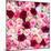 China 10MKm2 Collection - 1001 Roses-Philippe Hugonnard-Mounted Photographic Print