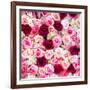 China 10MKm2 Collection - 1001 Roses-Philippe Hugonnard-Framed Photographic Print