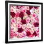 China 10MKm2 Collection - 1001 Roses-Philippe Hugonnard-Framed Photographic Print