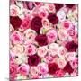 China 10MKm2 Collection - 1001 Roses-Philippe Hugonnard-Mounted Photographic Print