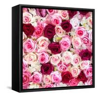 China 10MKm2 Collection - 1001 Roses-Philippe Hugonnard-Framed Stretched Canvas