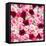 China 10MKm2 Collection - 1001 Roses-Philippe Hugonnard-Framed Stretched Canvas