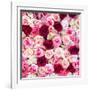 China 10MKm2 Collection - 1001 Roses-Philippe Hugonnard-Framed Photographic Print