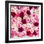 China 10MKm2 Collection - 1001 Roses-Philippe Hugonnard-Framed Photographic Print