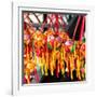 China 10MKm2 Collection - Accessories Buddhist Temple-Philippe Hugonnard-Framed Photographic Print