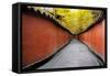 China 10MKm2 Collection - Alley Bamboo-Philippe Hugonnard-Framed Stretched Canvas