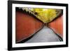 China 10MKm2 Collection - Alley Bamboo-Philippe Hugonnard-Framed Photographic Print