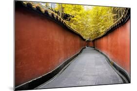 China 10MKm2 Collection - Alley Bamboo-Philippe Hugonnard-Mounted Photographic Print