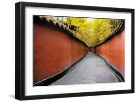 China 10MKm2 Collection - Alley Bamboo-Philippe Hugonnard-Framed Photographic Print