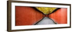 China 10MKm2 Collection - Alley Bamboo-Philippe Hugonnard-Framed Photographic Print