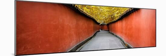 China 10MKm2 Collection - Alley Bamboo-Philippe Hugonnard-Mounted Photographic Print