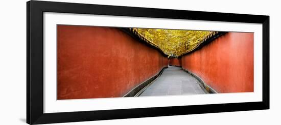 China 10MKm2 Collection - Alley Bamboo-Philippe Hugonnard-Framed Photographic Print