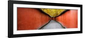 China 10MKm2 Collection - Alley Bamboo-Philippe Hugonnard-Framed Photographic Print