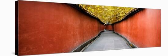 China 10MKm2 Collection - Alley Bamboo-Philippe Hugonnard-Stretched Canvas