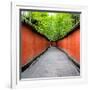 China 10MKm2 Collection - Alley Bamboo-Philippe Hugonnard-Framed Photographic Print