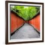 China 10MKm2 Collection - Alley Bamboo-Philippe Hugonnard-Framed Photographic Print