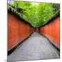 China 10MKm2 Collection - Alley Bamboo-Philippe Hugonnard-Mounted Photographic Print