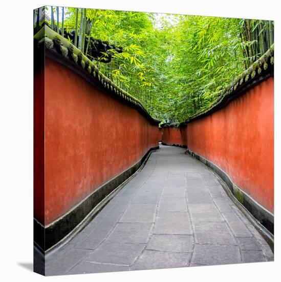 China 10MKm2 Collection - Alley Bamboo-Philippe Hugonnard-Stretched Canvas