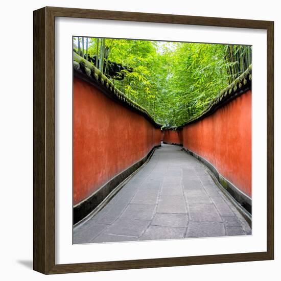 China 10MKm2 Collection - Alley Bamboo-Philippe Hugonnard-Framed Photographic Print