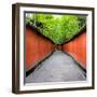 China 10MKm2 Collection - Alley Bamboo-Philippe Hugonnard-Framed Photographic Print