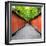 China 10MKm2 Collection - Alley Bamboo-Philippe Hugonnard-Framed Photographic Print