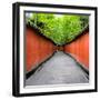 China 10MKm2 Collection - Alley Bamboo-Philippe Hugonnard-Framed Photographic Print