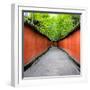 China 10MKm2 Collection - Alley Bamboo-Philippe Hugonnard-Framed Photographic Print